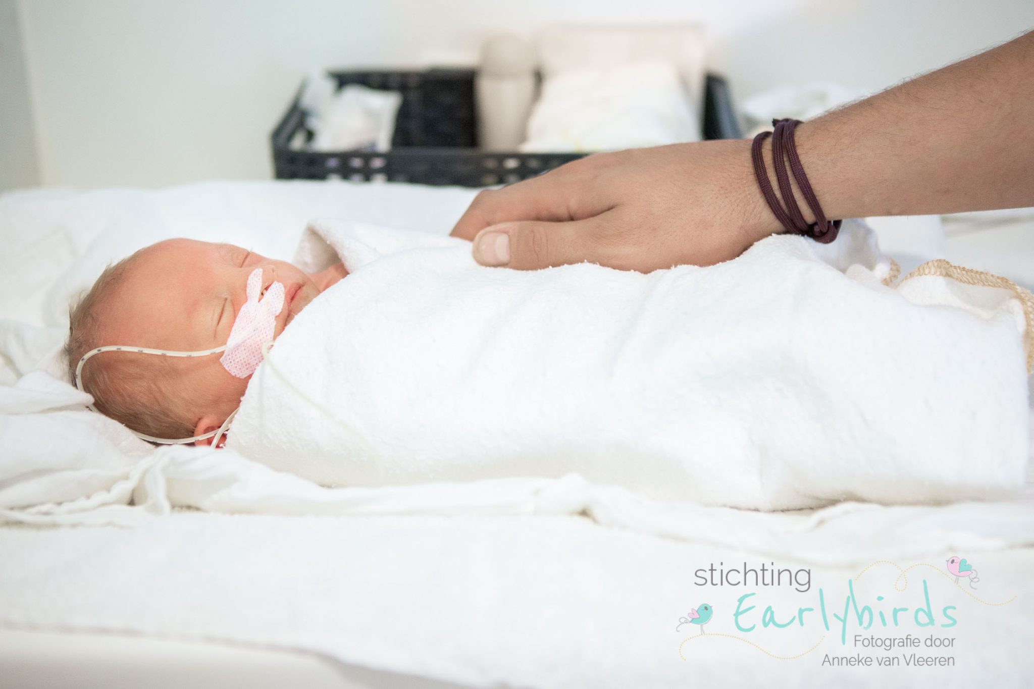 Newborn reportage voor Stichting Earlybirds: Mex