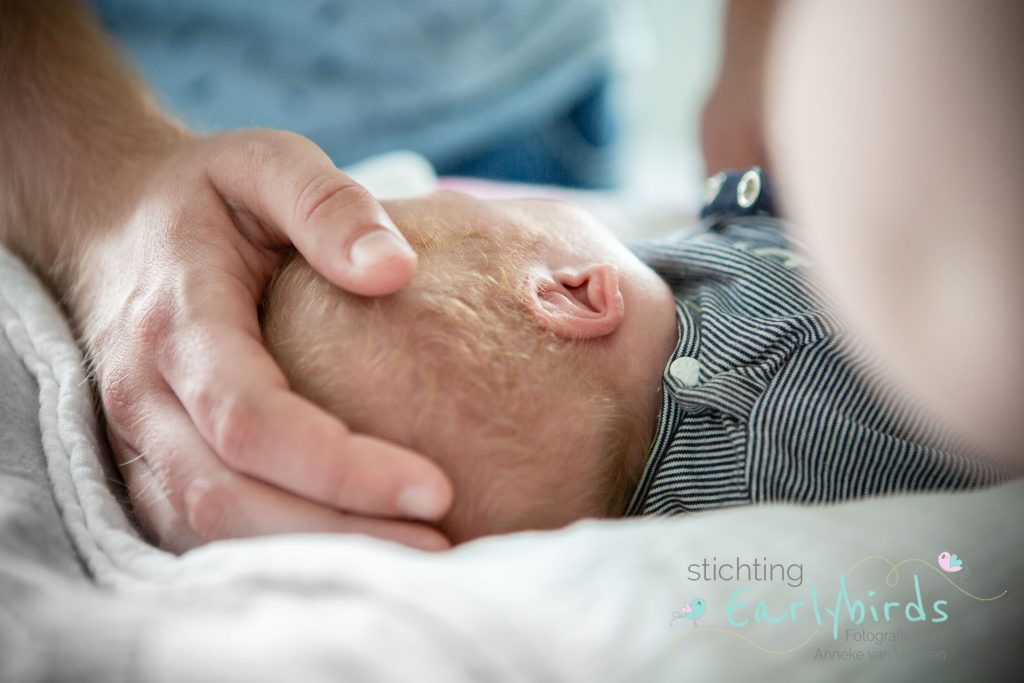 Mason - hand op het hoofdje
newbornfotografie voor Stichting Earlybirds