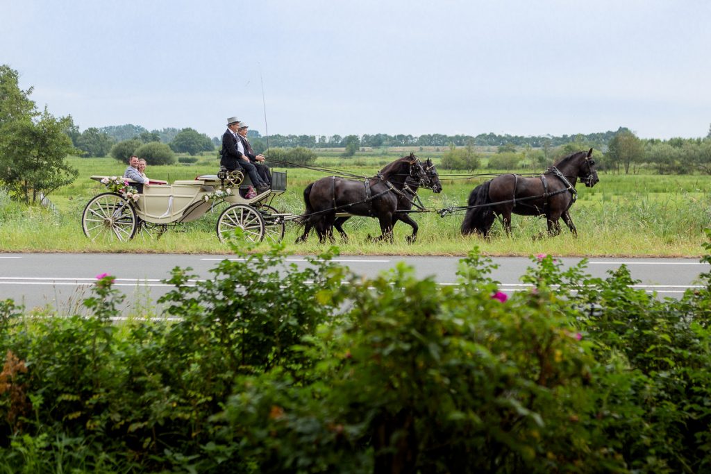 bruidspaar onderweg met paarden en koets